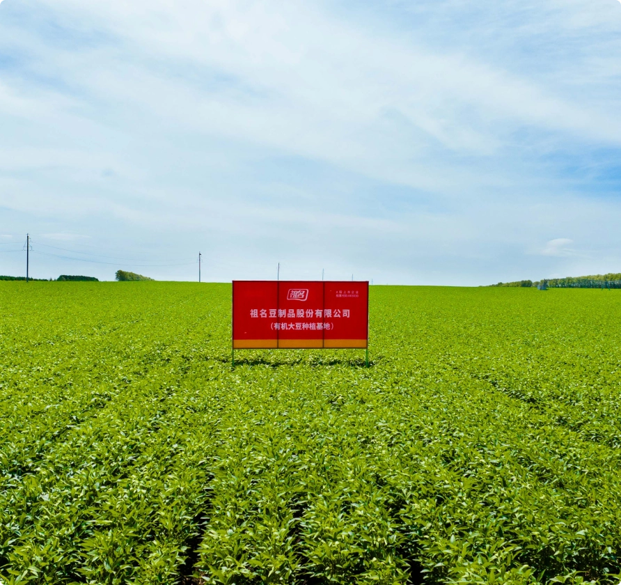 100% non-GMO soybeans from Northeast China under contract farming