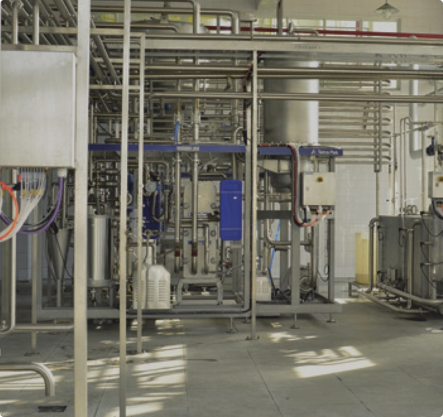 38 automated production lines: tofu, soy milk, soy snacks, fermentation